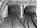 souvenirs en noir et blanc (447)